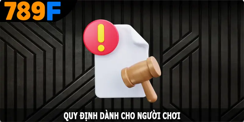 Chính sách miễn trách nhiệm - Quy định dành cho người chơi