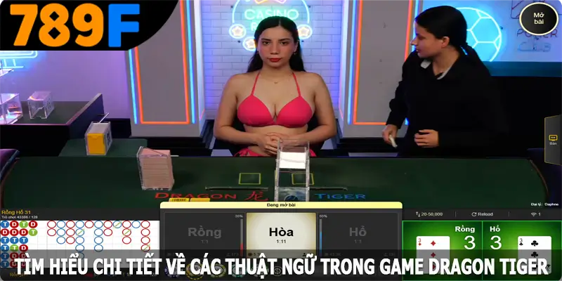 Tìm hiểu chi tiết về các thuật ngữ trong game Dragon Tiger