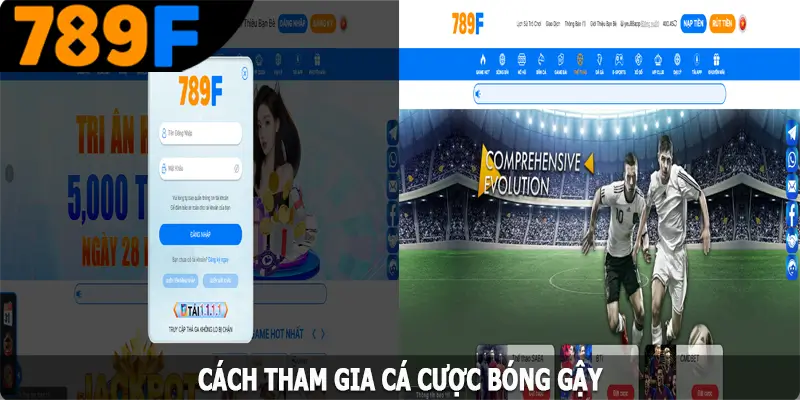 Cách tham gia cá cược bóng gậy tại 789F Cách tham gia cá cược bóng gậy tại 789F