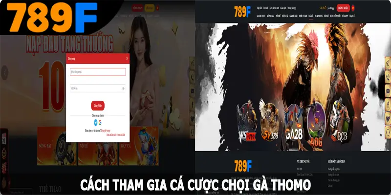 Cách tham gia giải trí chọi gà Thomo trên website 789F