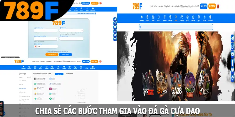 Chia sẻ các bước tham gia vào đá gà cựa dao Chia sẻ các bước tham gia vào đá gà cựa dao