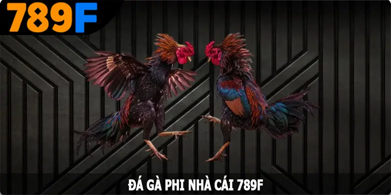 Đá Gà Phi - Hình Thức Cá Cược Hấp Dẫn Hàng Đầu Tại 789F