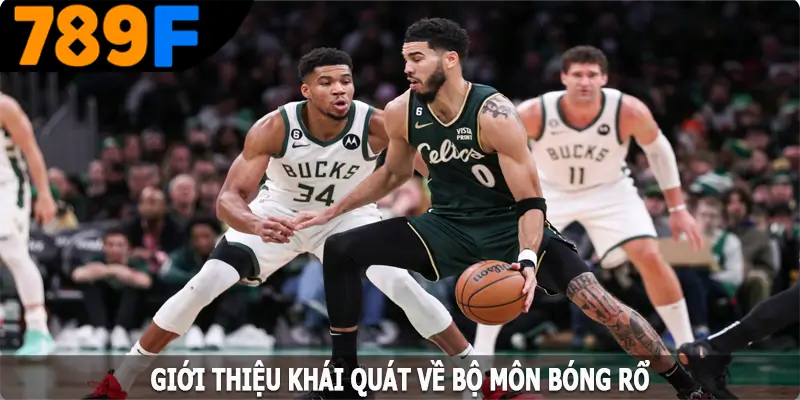 Giới thiệu khái quát về bộ môn bóng rổ tại 789F