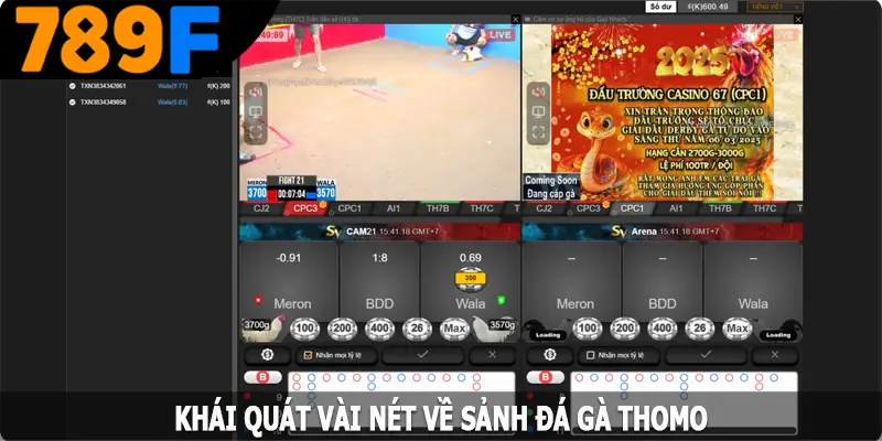 Khái quát vài nét về sảnh đá gà Thomo tại 789F