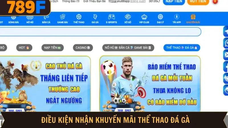 Quy định khi nhận ưu đãi tại sảnh thể thao đá gà