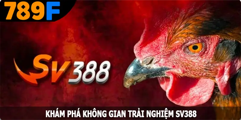 Khám phá không gian trải nghiệm SV388