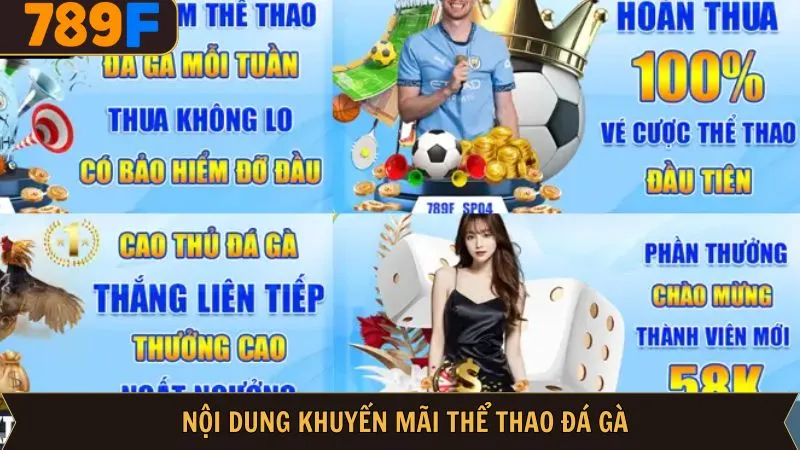 Các chương trình khuyến mãi thể thao đá gà hấp dẫn
