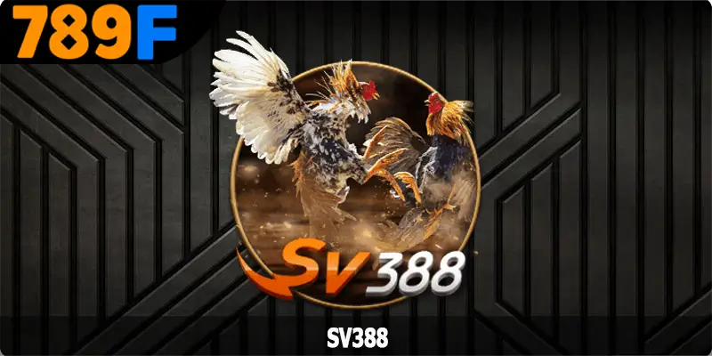 SV388 - Sân Chơi Chọi Kê Nổi Tiếng Nhất Năm 2025