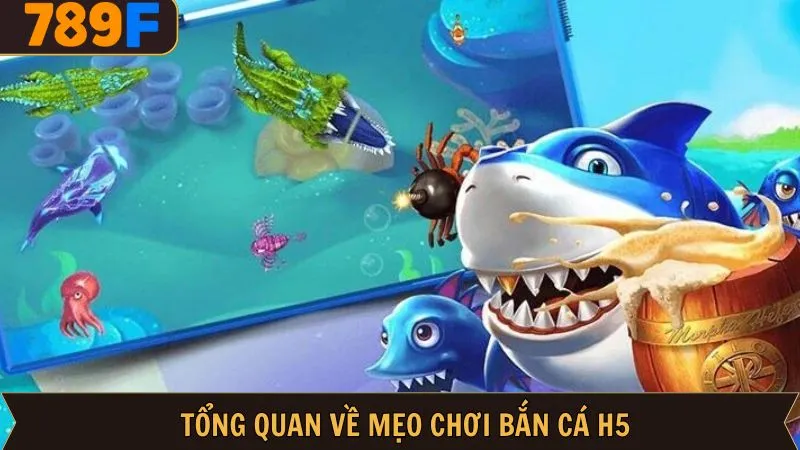 Đôi nét sơ lược về mẹo chơi bắn cá H5