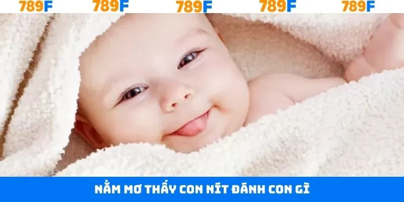 Nằm Mơ Thấy Con Nít Đánh Con Gì? Bí Quyết Chơi Lô Đề Hay