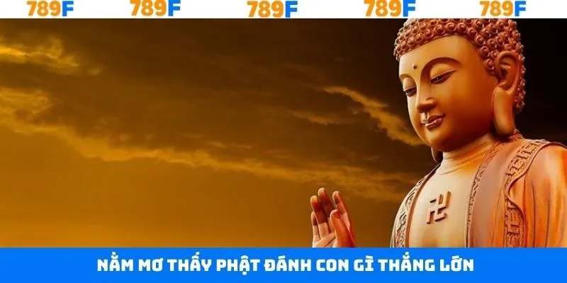 Các con số may mắn khác khi ngủ mộng thấy Phật